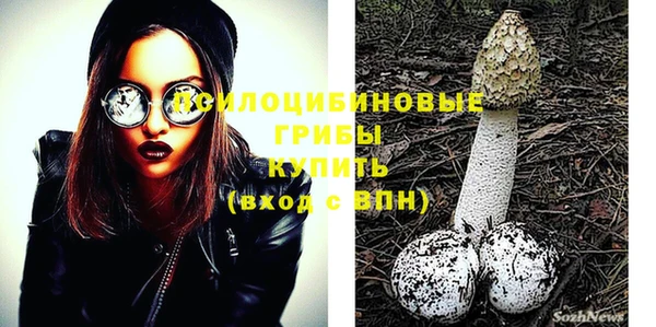 MDMA Дмитровск