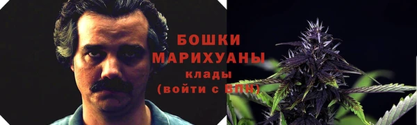 МДПВ Дмитров