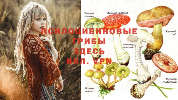 jwh Дмитриев