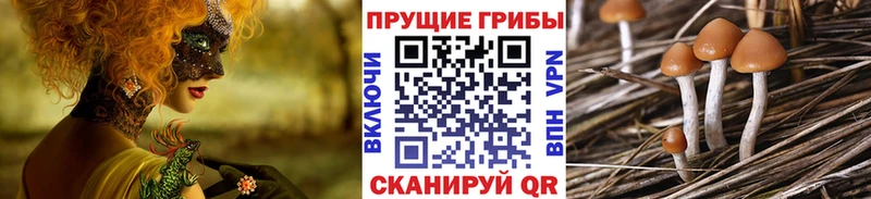 Галлюциногенные грибы прущие грибы  что такое   Октябрьский 